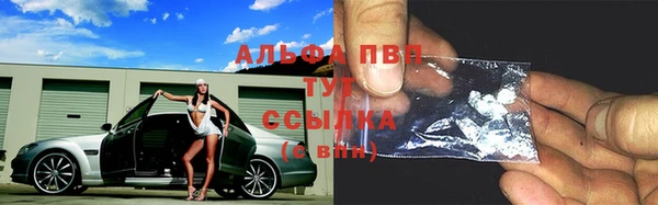 мескалин Богданович