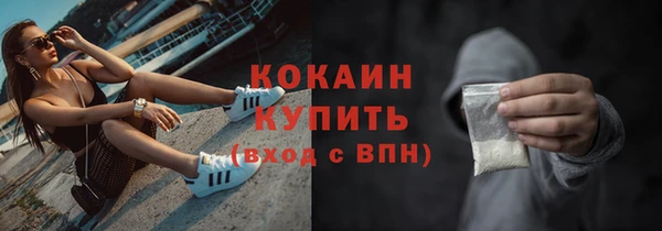 mdpv Богородицк