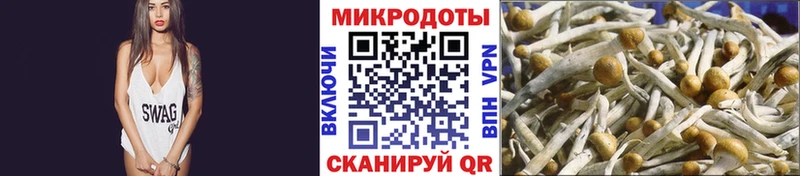 Галлюциногенные грибы Magic Shrooms  Великий Устюг 